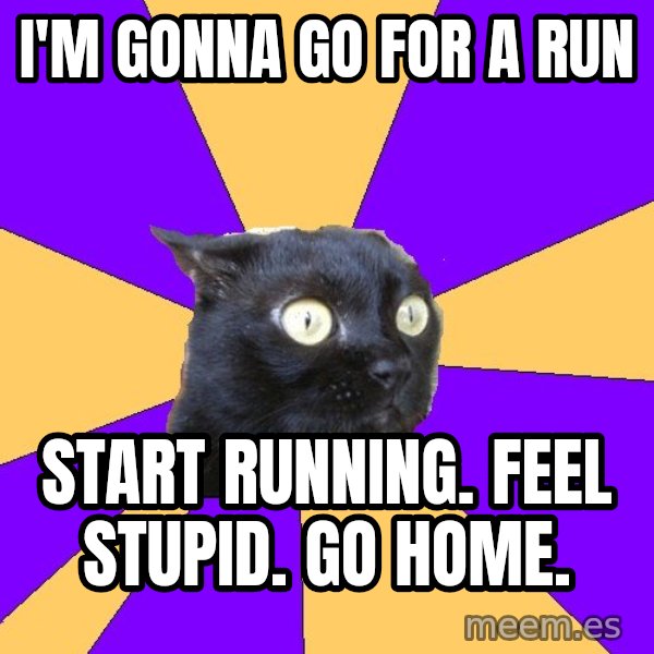 Anxiety Cat meme: I'm gonna go for a run / start running. feel stupid. go home.