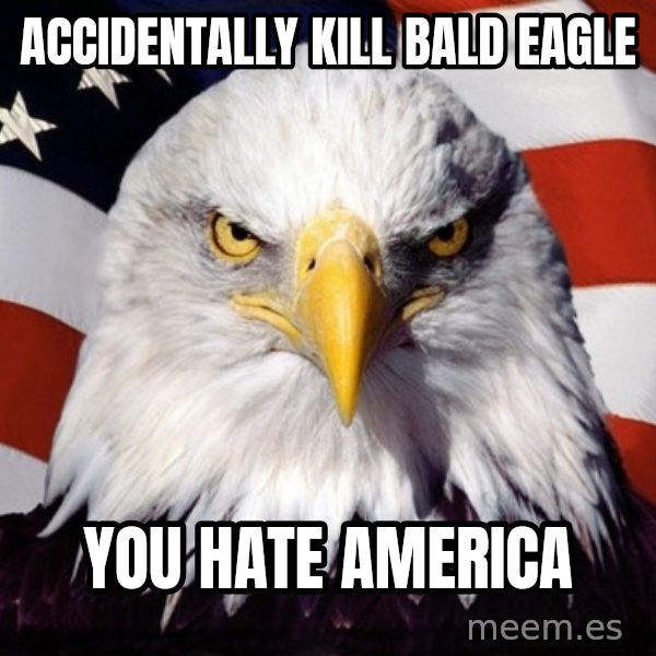 American Pride Eagle meme: accidentally kill bald eagle / you hate america