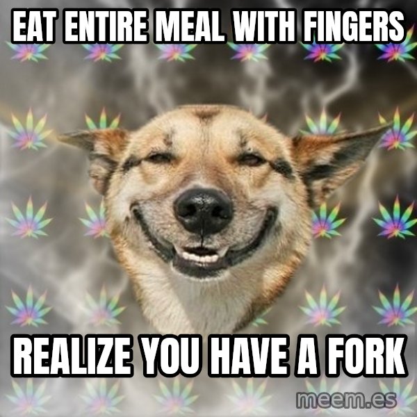 Stoner Dog meme: Eat entire meal with fingers / Realize you have a fork