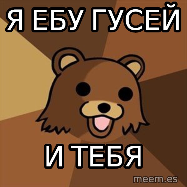 Pedobear meme: Я ебу гусей / И тебя