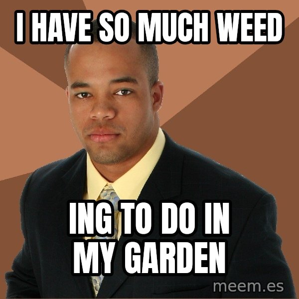 Successful Black Man meme: i have so much weed / ing to do in my garden