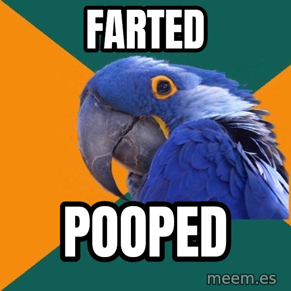 Paranoid Parrot meme: Farted / Pooped