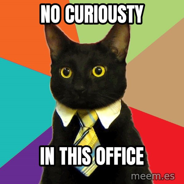 Business Cat meme: no curiousty / in this office