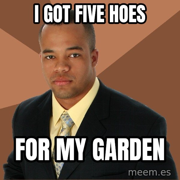 Successful Black Man meme: i got five hoes / for my garden