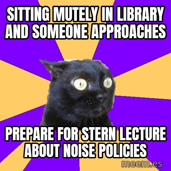 Anxiety Cat meme: sitting mutely in library and someone approaches / prepare for stern lecture about noise policies