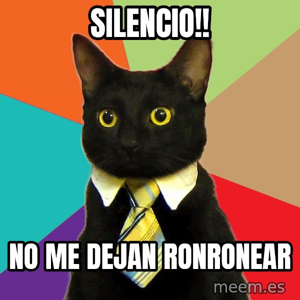 Business Cat meme: silencio!! / no me dejan ronronear
