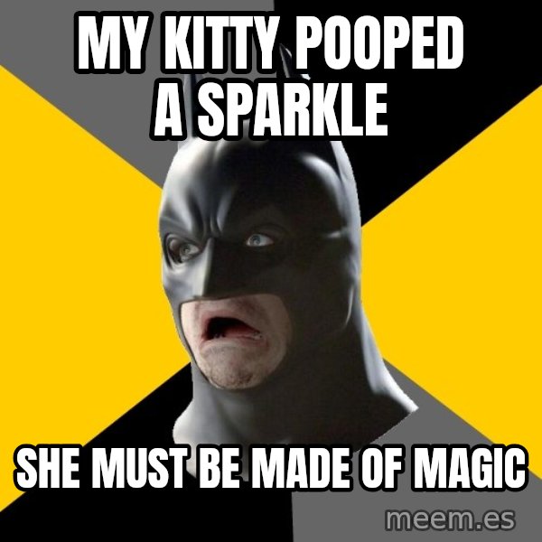 Bad Factman meme: My kitty pooped a sparkle / She must be made of magic