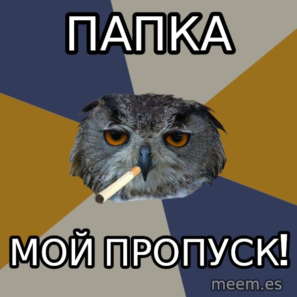 Art Student Owl meme: ПАПКА / МОЙ ПРОПУСК!