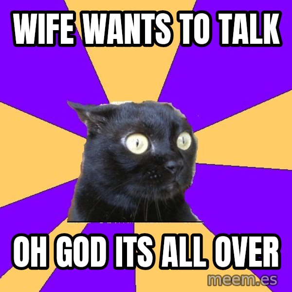 Anxiety Cat meme: wife wants to talk / oh god its all over