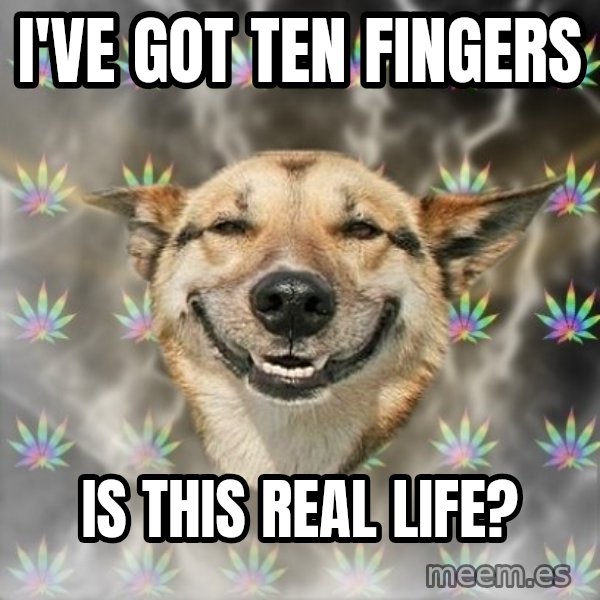 Stoner Dog meme: i've got ten fingers / is this real life?