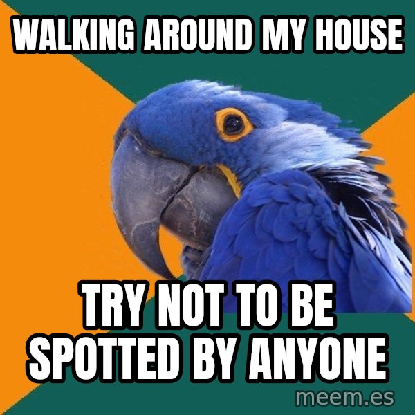 Paranoid Parrot meme: wALKING AROUND my HOUSE / TRY NOT TO BE SPOTTED BY ANYONE