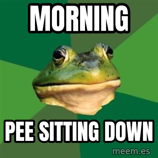 Foul Bachelor Frog meme: Morning / pee sitting down