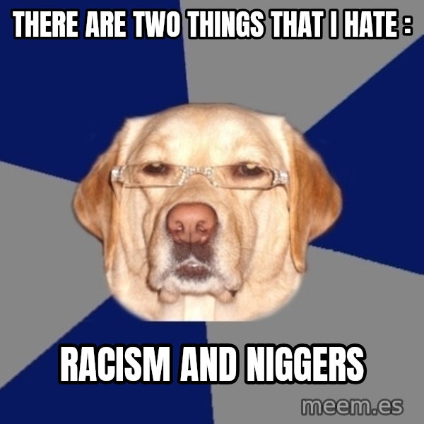 Racist Dog meme: THERE ARE TWO THINGS THAT i HATE : / rACISM AND NIGGERS