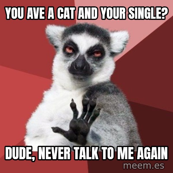 Chill Out Lemur meme: YOU AVE A CAT AND YOUR SINGLE? / DUDE, NEVER TALK TO ME AGAIN