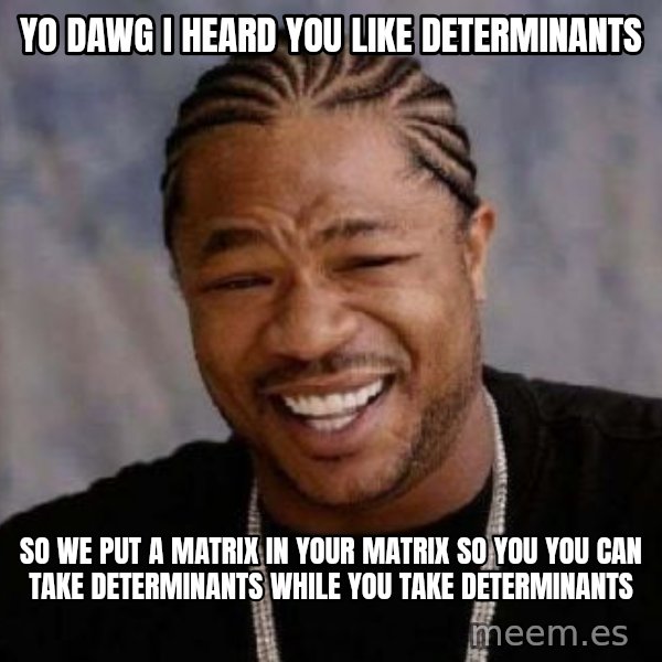 xzibit-yo-dawg meme: yo dawg i heard you like determinants / so we put a matrix in your matrix so you you can take determinants while you take determinants