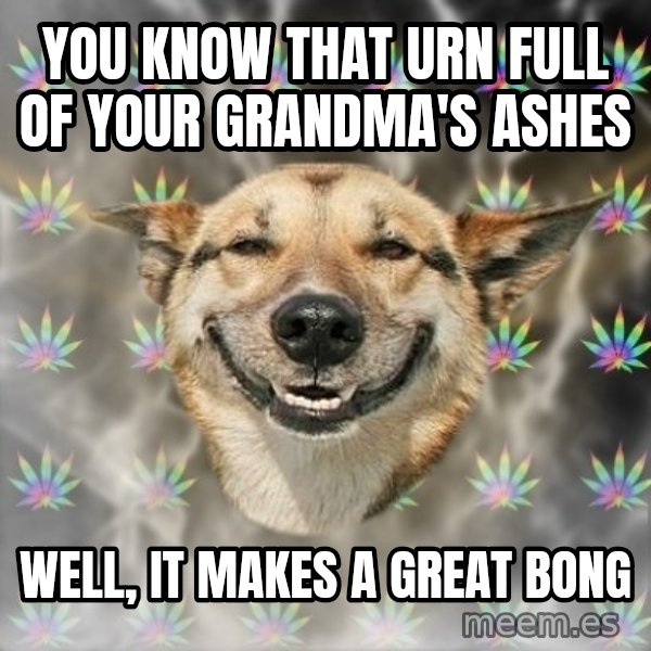 Stoner Dog meme: You know that urn full of your grandma's ashes / Well, it makes a great bong