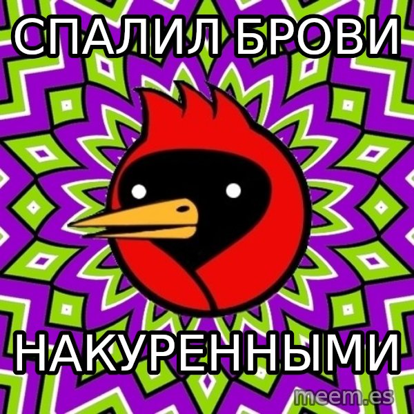 Omsk Crow meme: Спалил брови / накуренными