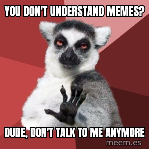 Chill Out Lemur meme: You don't understand memes? / Dude, don't talk to me anymore