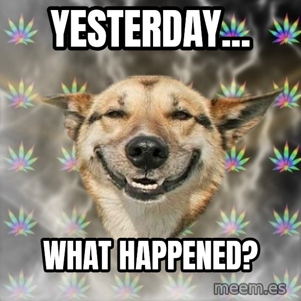 Stoner Dog meme: yesterday... / what happened?