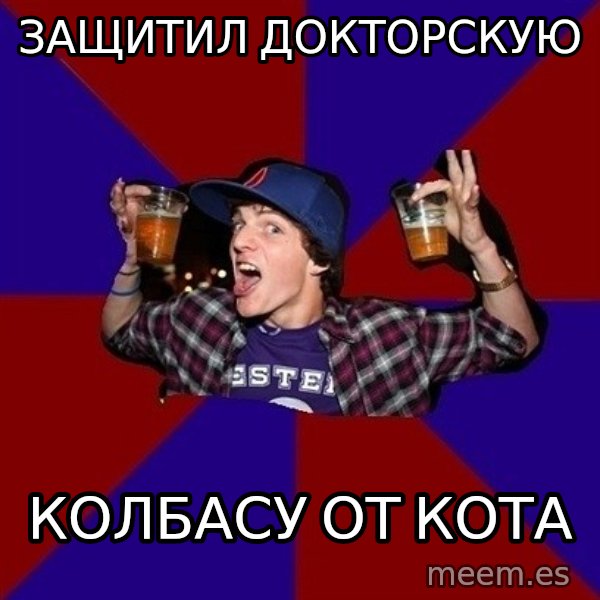 Sunny Student meme: защитил   докторскую / колбасу от кота