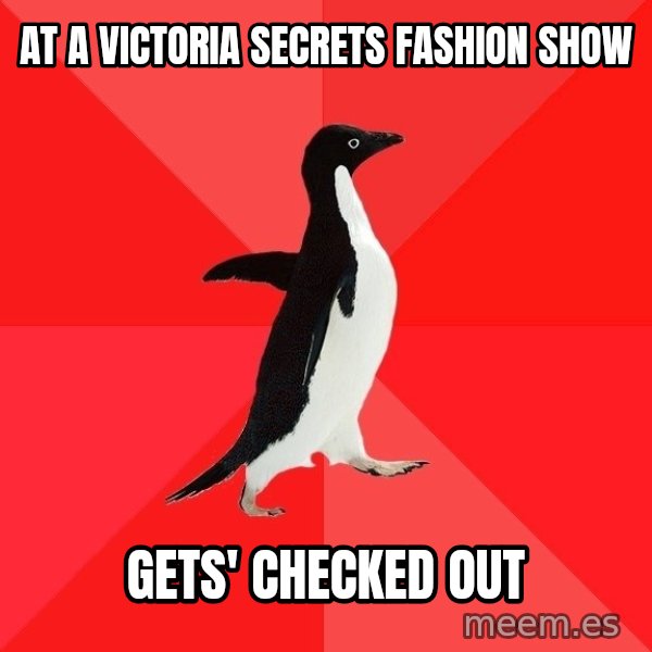 Socially Awesome Penguin meme: at a victoria secrets fashion show / gets' checked out