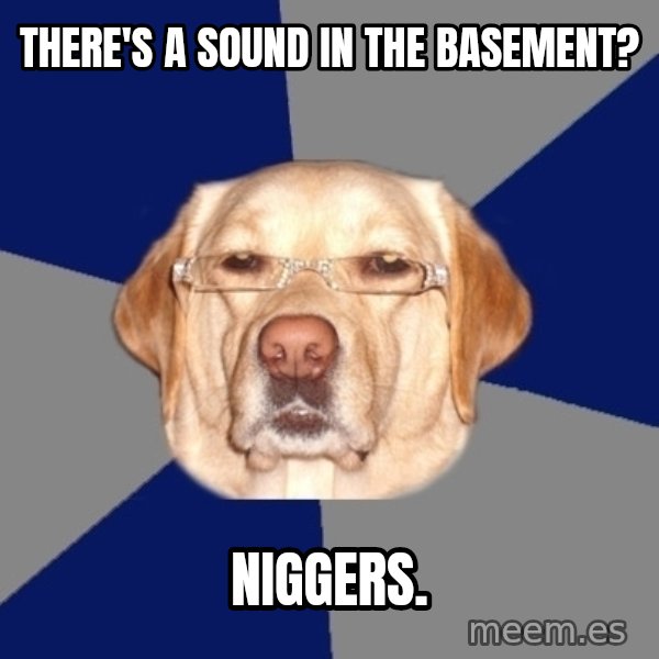 Racist Dog meme: there's a sound in the basement? / niggers.