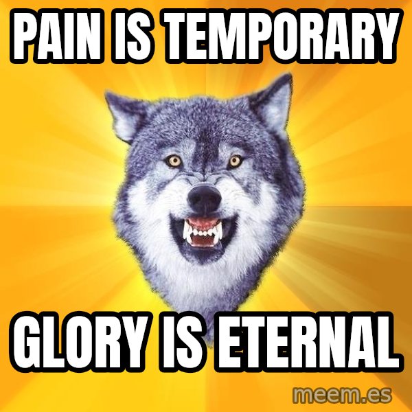 Courage Wolf meme: pAIN IS TEMPORARY / GLORY IS ETERNAL