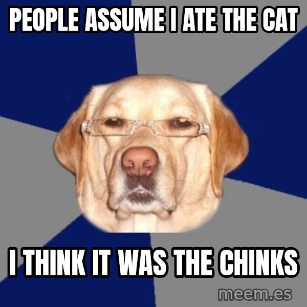 Racist Dawg meme: People assume I ate the cat / I think it was the chinks