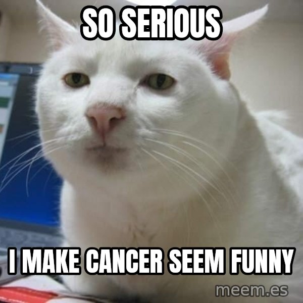 Serious Cat meme: So Serious / I make cancer seem funny