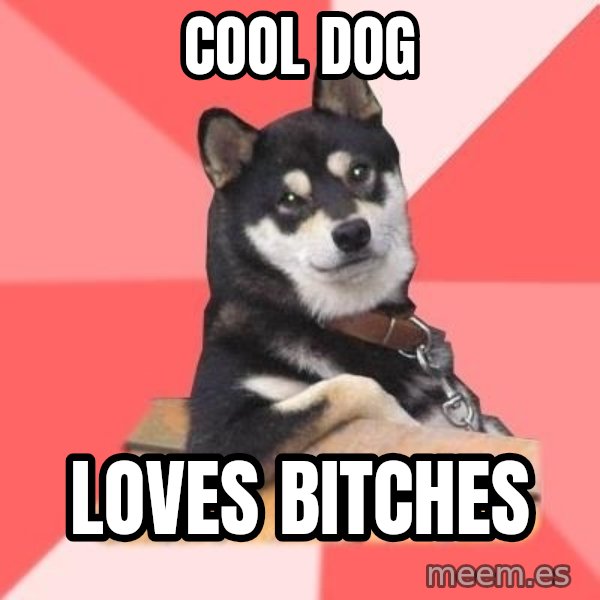 Cool Dog meme: Cool Dog / Loves Bitches