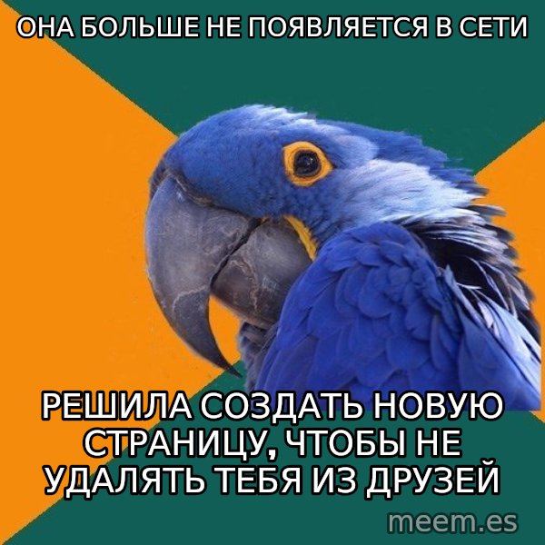 Paranoid Parrot meme: она больше не появляется в сети / решила создать новую страницу, чтобы не удалять тебя из друзей