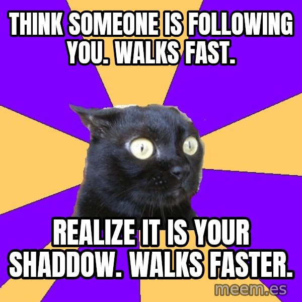 Anxiety Cat meme: think someone is following you. walks fast. / realize it is your shaddow. walks faster.