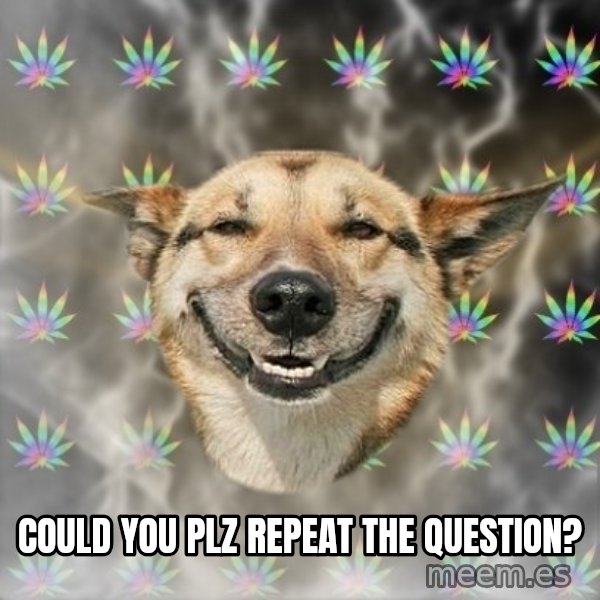 Stoner Dog meme: could you plz repeat the question?