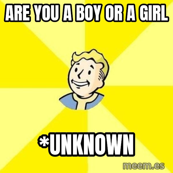 Fallout 3 meme: aRE YOU A bOY OR A GIRL / *uNKNOWN
