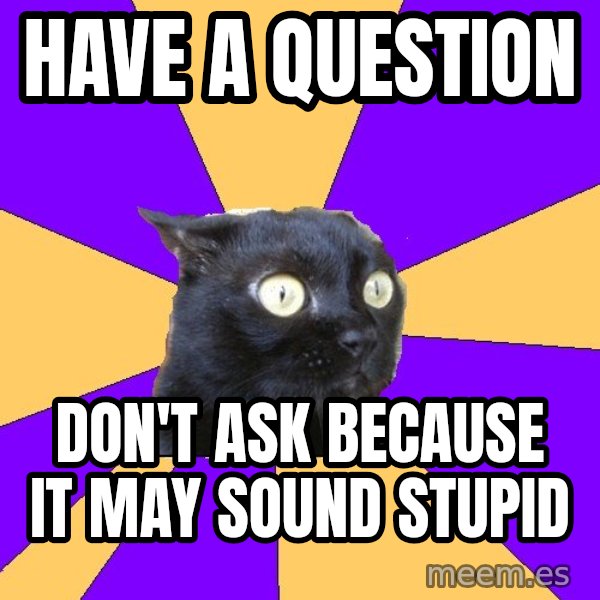 Anxiety Cat meme: have a question / don't ask because it may sound stupid