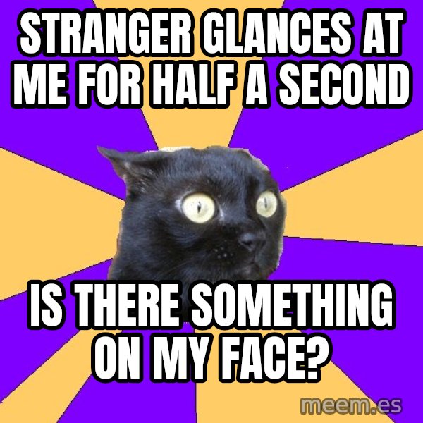 Anxiety Cat meme: STRANGER GLANCES AT ME FOR HALF A SECOND / IS THERE SOMETHING ON MY FACE?