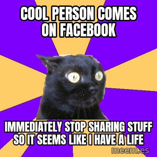 Anxiety Cat meme: cool person comes on facebook / immediately stop sharing stuff so it seems like i have a life
