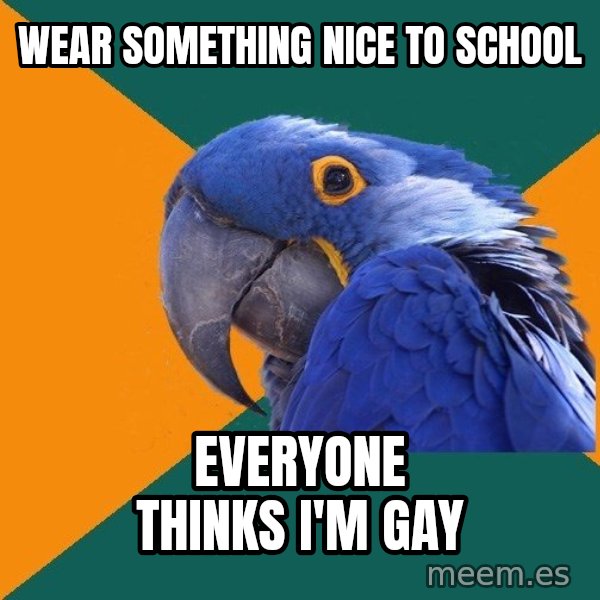 Paranoid Parrot meme: wear something nice to school / everyone thinks i'm gay