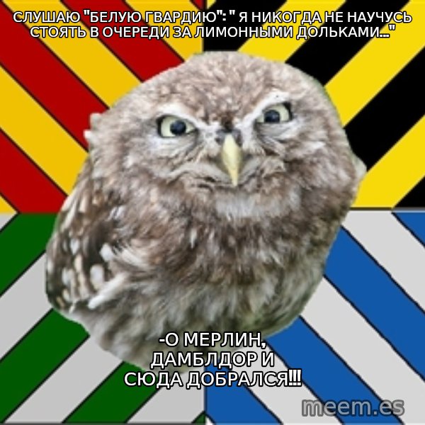 JEALOUS POTTEROMAN meme: Слушаю "Белую гвардию":  " Я никогда не научусь стоять в очереди за лимонными дольками..." / -О мерлин, Дамблдор и сюда добрался!!!
