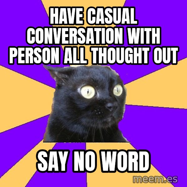 Anxiety Cat meme: have casual conversation witH person all thought out / say no word