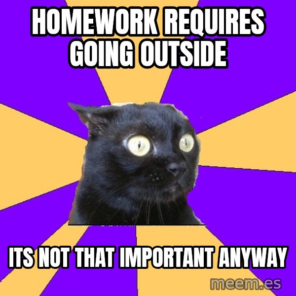 Anxiety Cat meme: homework requires going outside / its not that important anyway