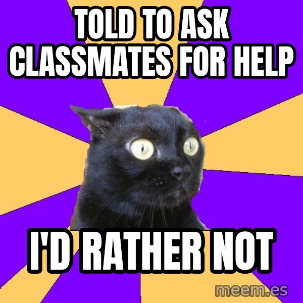Anxiety Cat meme: told to ask classmates for help / i'd rather not