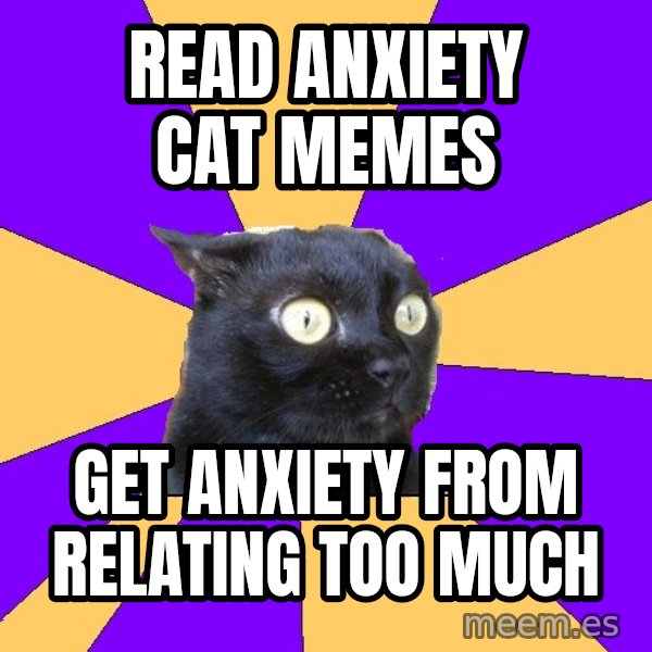 Anxiety Cat meme: Read anxiety cat memes / get anxiety from relating too much