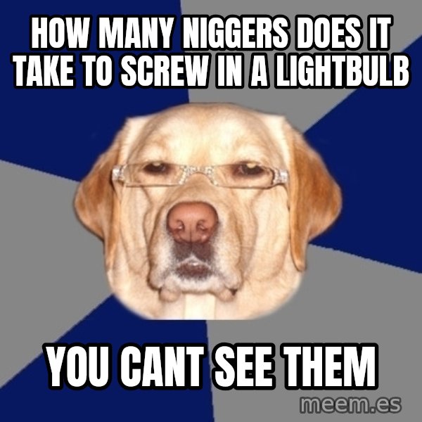 Racist Dawg meme: how many niggers does it take to screw in a lightbulb / you cant see them
