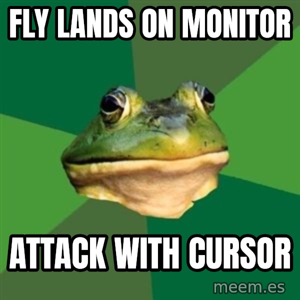 Foul Bachelor Frog meme: fly lands on monitor / attack with cursor