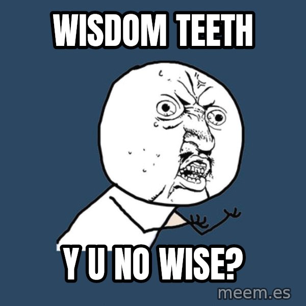 Y U No meme: wisdom teeth / y u no wise?