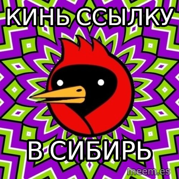 Omsk Crow meme: кинь ссылку / в сибирь