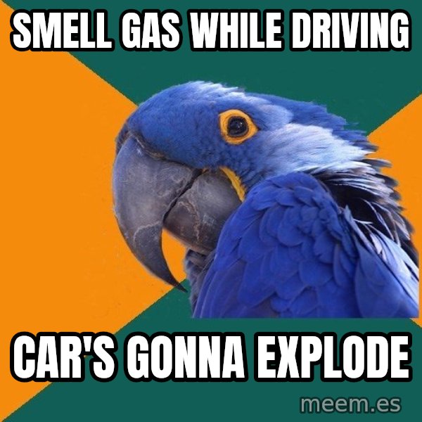 Paranoid Parrot meme: smell gas while driving / car's gonna explode