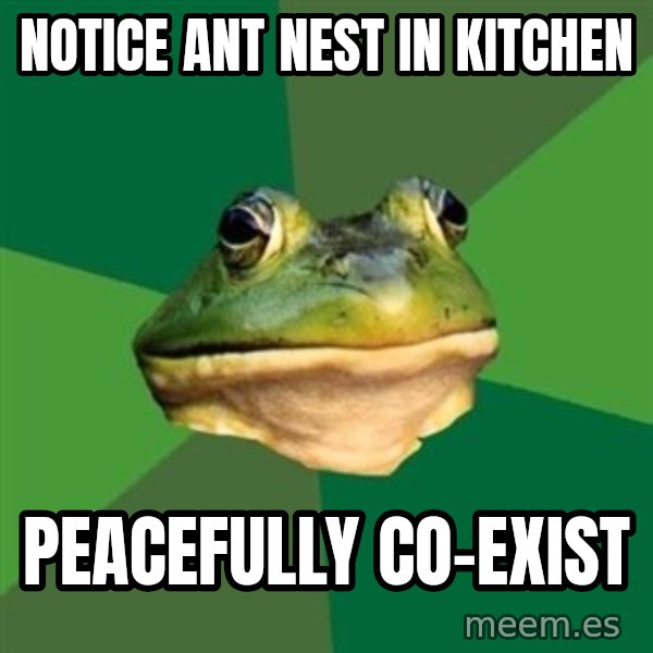 Foul Bachelor Frog meme: notice ant nest in kitchen / peacefully co-exist