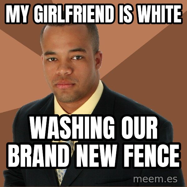 Successful Black Man meme: My Girlfriend IS white / washing our brand new fence